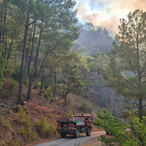 mersinde orman yangini cikti l8Yr1BaD