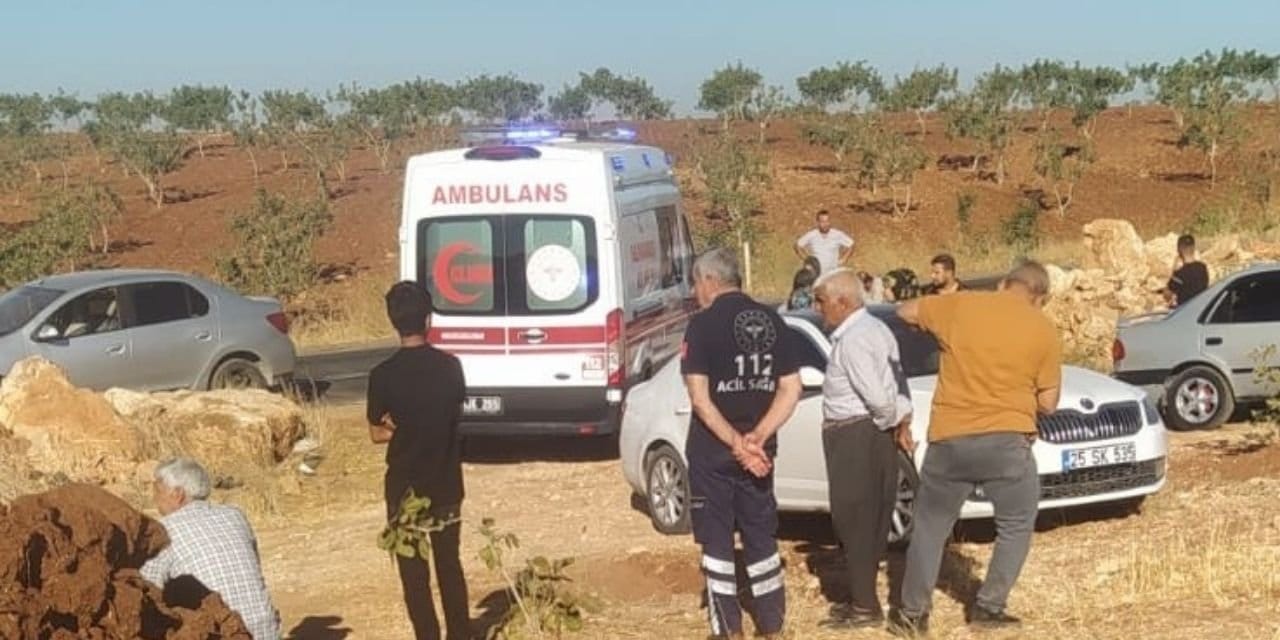 otomobil sarampole devrildi bir kisi yasamini yitirdi 3 kisi yaralandi 1CqkkgSk