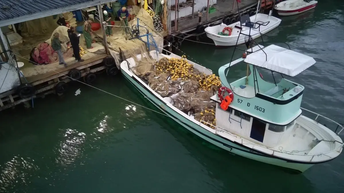 turkelide palamut bollugu HxUlgZU3.jpg